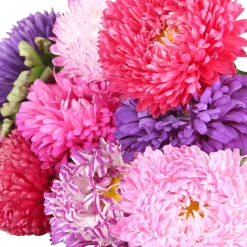 Zaden: zomeraster gemengd|ohgreen Sale