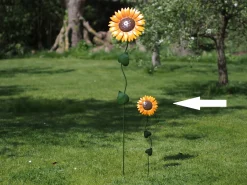 Zonnebloem|ohgreen Hot